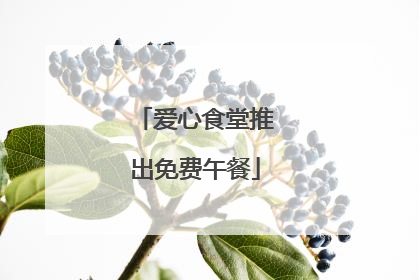 爱心食堂推出免费午餐