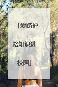 爱路护路知识进校园