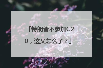 特朗普不参加G20，这又怎么了？