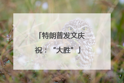 特朗普发文庆祝：“大胜”