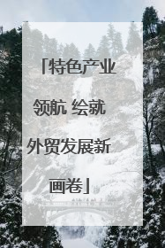 特色产业领航 绘就外贸发展新画卷