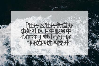 牡丹区牡丹街道办事处社区卫生服务中心前往丁堂小学开展“四送四进四提升”及无烟日宣传活动