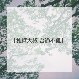 独臂大叔 吾道不孤