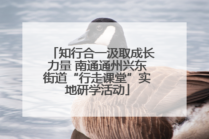 知行合一汲取成长力量 南通通州兴东街道“行走课堂”实地研学活动