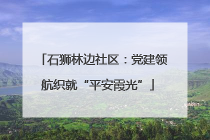 石狮林边社区：党建领航织就“平安霞光”