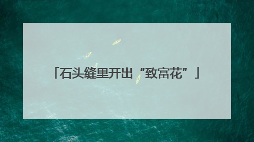石头缝里开出“致富花”