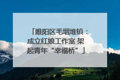 睢阳区毛堌堆镇：成立红娘工作室 架起青年“幸福桥”
