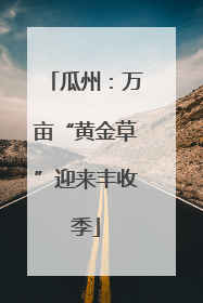 瓜州：万亩“黄金草”迎来丰收季