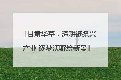 甘肃华亭：深耕链条兴产业 逐梦沃野绘新景
