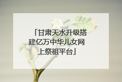 甘肃天水升级搭建亿万中华儿女网上祭祖平台