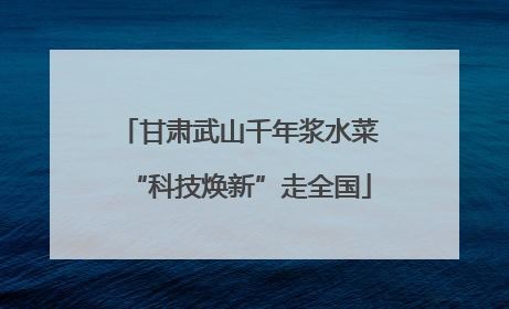 甘肃武山千年浆水菜“科技焕新”走全国