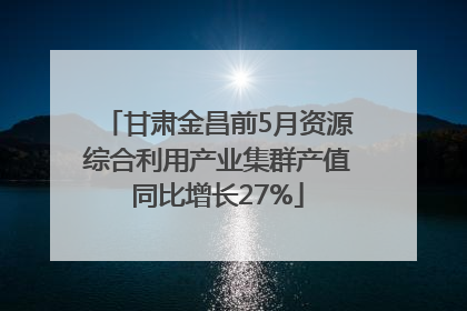 甘肃金昌前5月资源综合利用产业集群产值同比增长27%