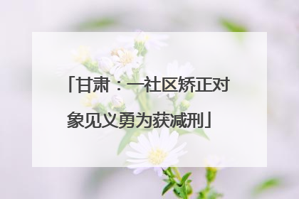 甘肃：一社区矫正对象见义勇为获减刑