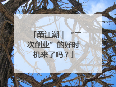 甬江潮｜“二次创业”的好时机来了吗？