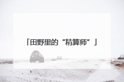 田野里的“精算师”