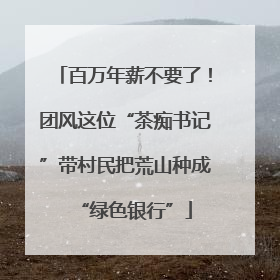 百万年薪不要了！团风这位“茶痴书记”带村民把荒山种成“绿色银行”