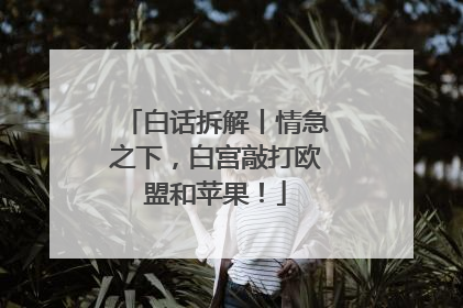 白话拆解丨情急之下，白宫敲打欧盟和苹果！