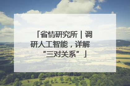 省情研究所｜调研人工智能，详解“三对关系”