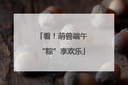看！萌兽端午“粽”享欢乐
