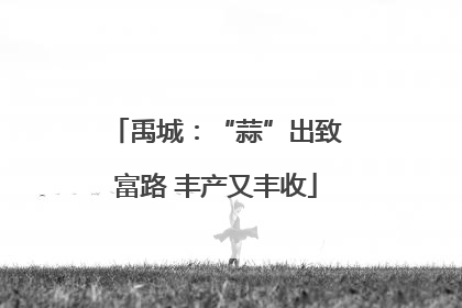 禹城：“蒜”出致富路 丰产又丰收