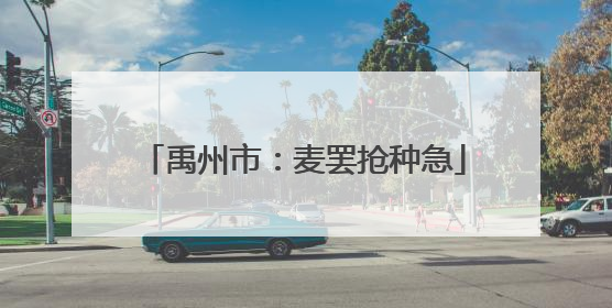 禹州市：麦罢抢种急