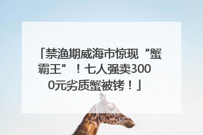 禁渔期威海市惊现“蟹霸王”！七人强卖3000元劣质蟹被铐！