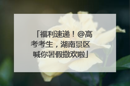 福利速递！@高考考生，湖南景区喊你暑假撒欢啦