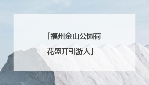 福州金山公园荷花盛开引游人