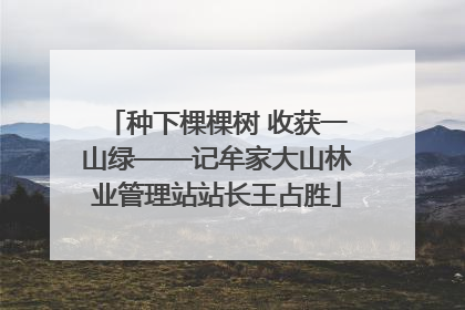 种下棵棵树 收获一山绿——记牟家大山林业管理站站长王占胜