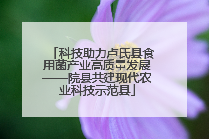 科技助力卢氏县食用菌产业高质量发展——院县共建现代农业科技示范县