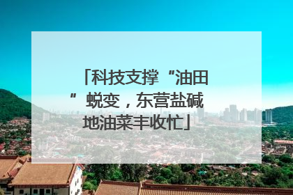 科技支撑“油田”蜕变，东营盐碱地油菜丰收忙