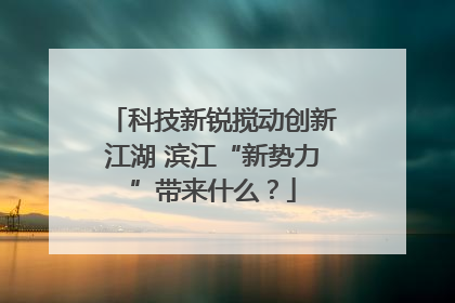 科技新锐搅动创新江湖 滨江“新势力”带来什么？