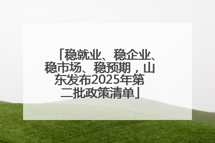 稳就业、稳企业、稳市场、稳预期，山东发布2025年第二批政策清单