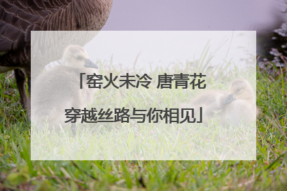 窑火未冷 唐青花穿越丝路与你相见