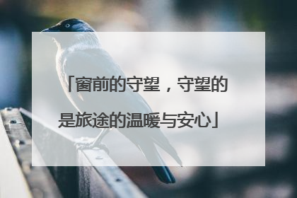 窗前的守望，守望的是旅途的温暖与安心
