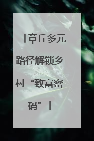 章丘多元路径解锁乡村“致富密码”