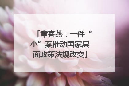 章春燕：一件“小”案推动国家层面政策法规改变