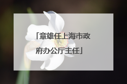 章雄任上海市政府办公厅主任