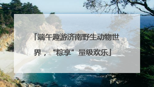 端午趣游济南野生动物世界，“粽享”量级欢乐