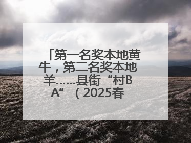 第一名奖本地黄牛，第二名奖本地羊……县街“村BA”（2025春季赛）圆满完赛