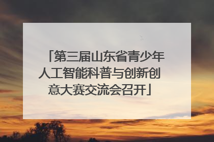 第三届山东省青少年人工智能科普与创新创意大赛交流会召开