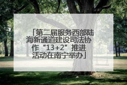 第二届服务西部陆海新通道建设司法协作“13+2”推进活动在南宁举办