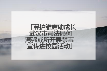 翼护雏鹰助成长 武汉市司法局何湾强戒所开展禁毒宣传进校园活动