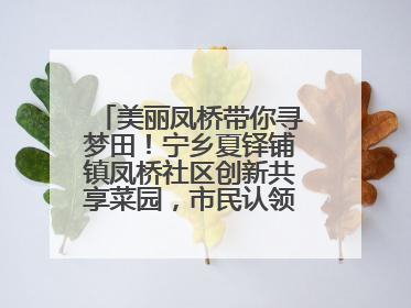 美丽凤桥带你寻梦田！宁乡夏铎铺镇凤桥社区创新共享菜园，市民认领菜土，体验耕种收获乐趣