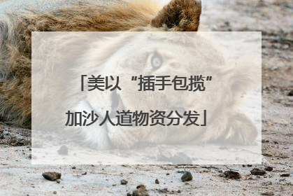 美以“插手包揽”加沙人道物资分发