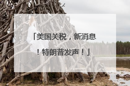 美国关税，新消息！特朗普发声！