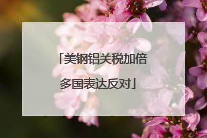 美钢铝关税加倍 多国表达反对