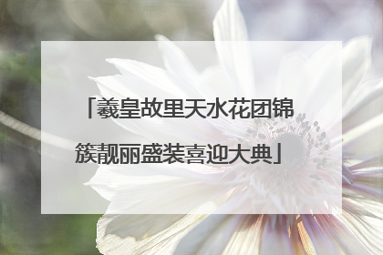 羲皇故里天水花团锦簇靓丽盛装喜迎大典