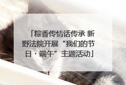 粽香传情话传承 新野法院开展“我们的节日・端午”主题活动