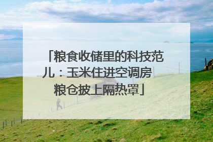 粮食收储里的科技范儿：玉米住进空调房 粮仓披上隔热罩
